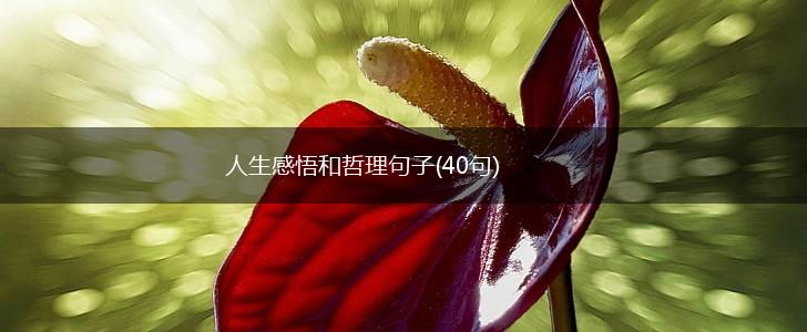 人生感悟和哲理句子(40句),第1张