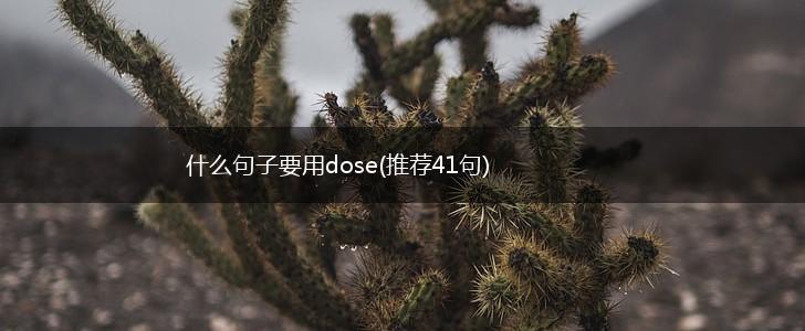 什么句子要用dose(推荐41句),第1张