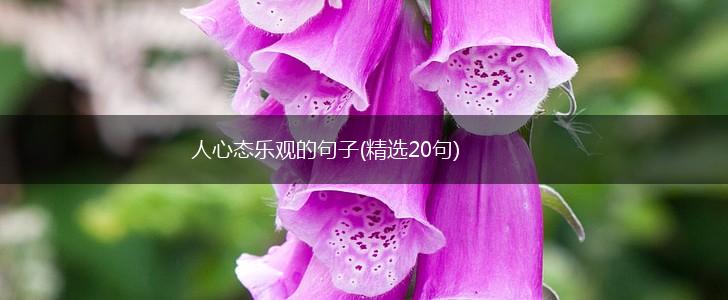 人心态乐观的句子(精选20句),第1张