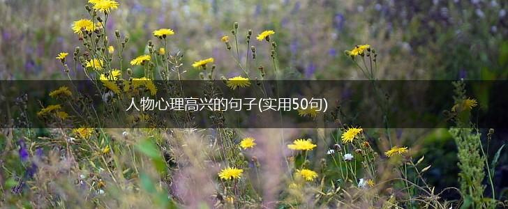 人物心理高兴的句子(实用50句),第1张