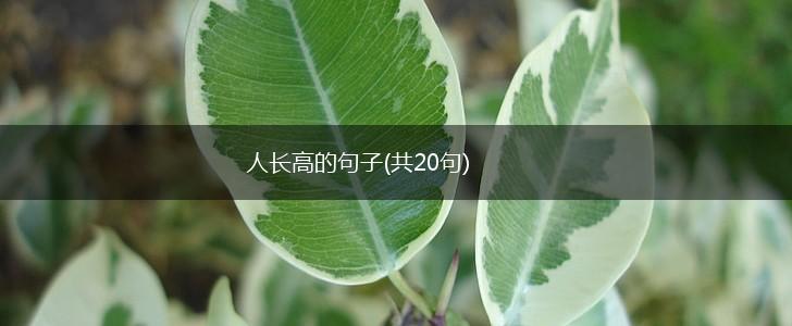 人长高的句子(共20句),第1张