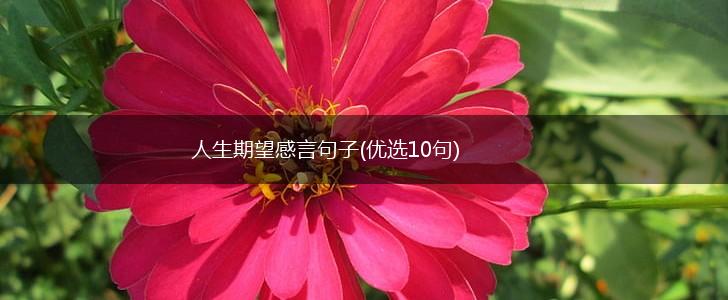 人生期望感言句子(优选10句),第1张