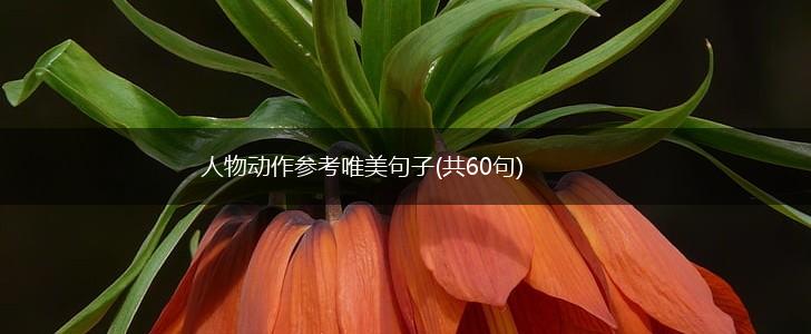 人物动作参考唯美句子(共60句),第1张