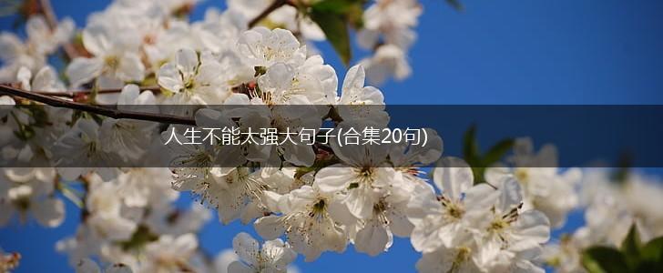 人生不能太强大句子(合集20句),第1张