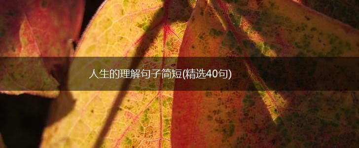 人生的理解句子简短(精选40句),第1张