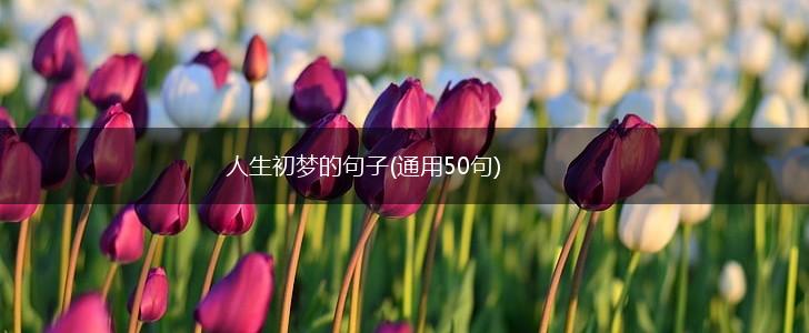 人生初梦的句子(通用50句),第1张