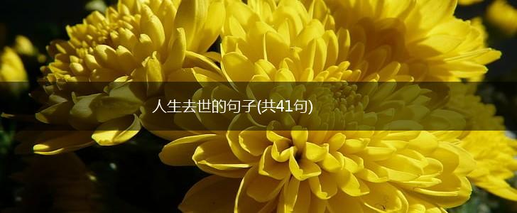 人生去世的句子(共41句),第1张