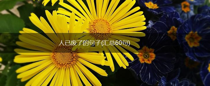 人已废了的句子(汇总60句),第1张
