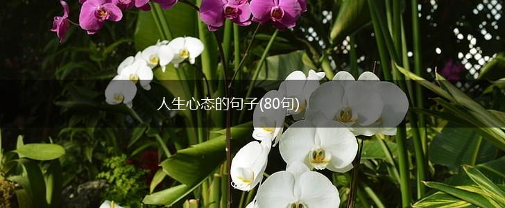 人生心态的句子(80句),第1张
