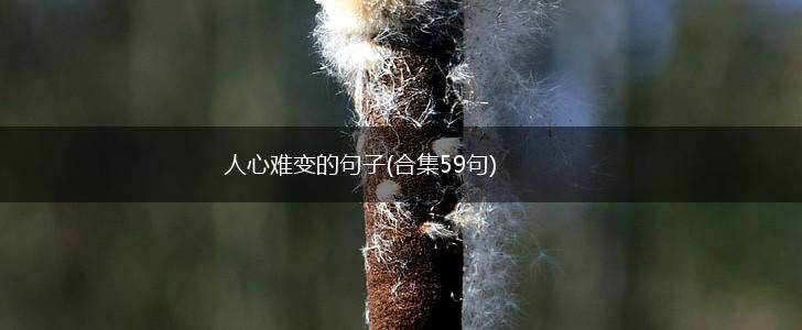 人心难变的句子(合集59句),第1张