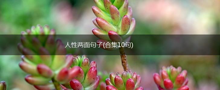 人性两面句子(合集10句),第1张