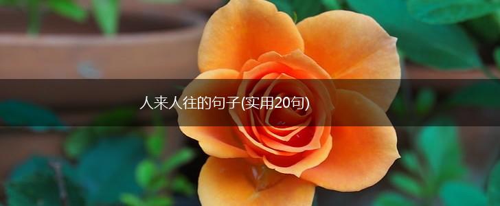 人来人往的句子(实用20句),第1张
