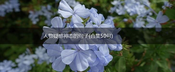 人物疑惑神态的句子(合集50句),第1张