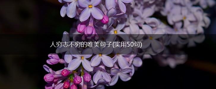 人穷志不穷的唯美句子(实用50句),第1张