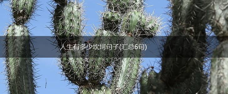 人生有多少坎坷句子(汇总6句),第1张