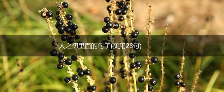 人之初里面的句子(实用28句),第1张
