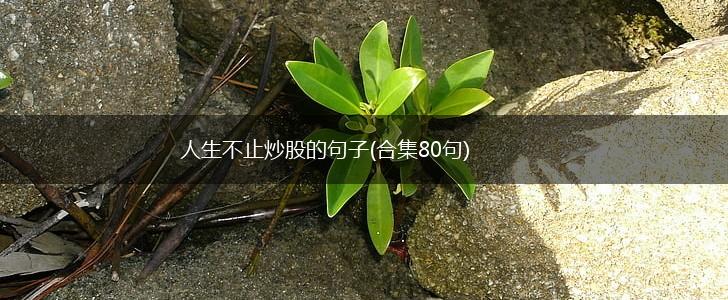 人生不止炒股的句子(合集80句),第1张