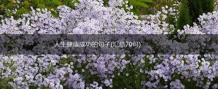 人生健康成功的句子(汇总70句),第1张