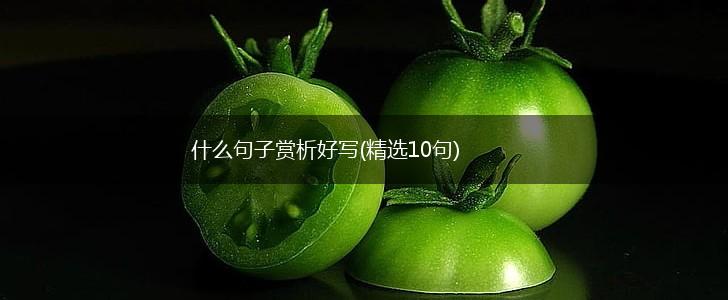 什么句子赏析好写(精选10句),第1张