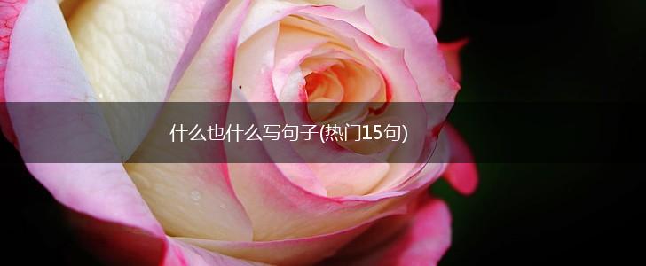 什么也什么写句子(热门15句),第1张