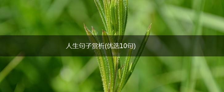 人生句子赏析(优选10句),第1张