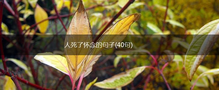 人死了怀念的句子(40句),第1张