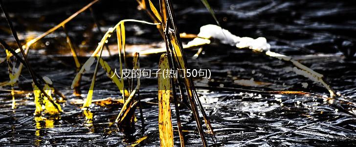 人皮的句子(热门50句),第1张