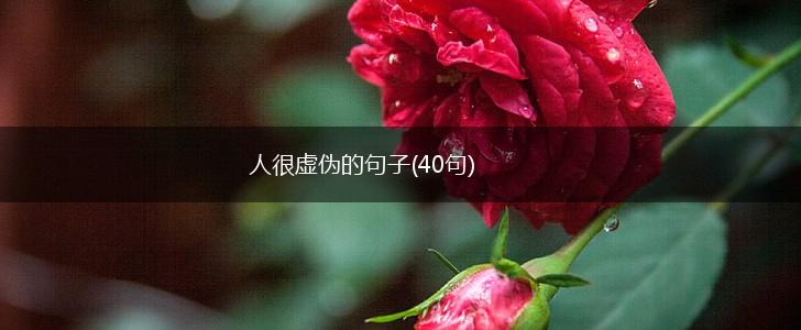 人很虚伪的句子(40句),第1张