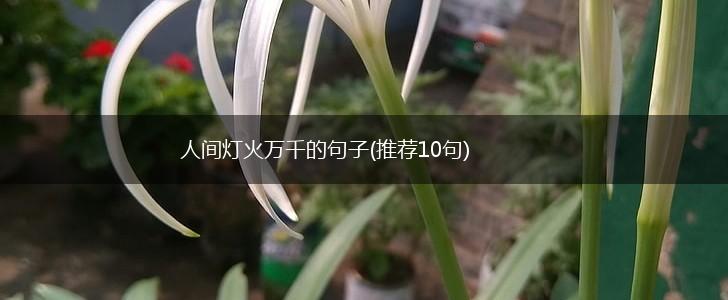 人间灯火万千的句子(推荐10句),第1张 人间灯火万千的句子(推荐10句),第1张