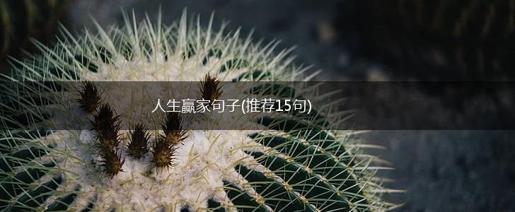 独特的什么是人生赢家的图片