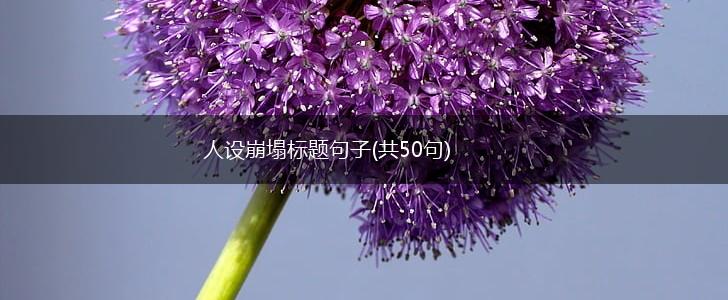 人设崩塌标题句子(共50句),第1张 人设崩塌标题句子(共50句),第1张