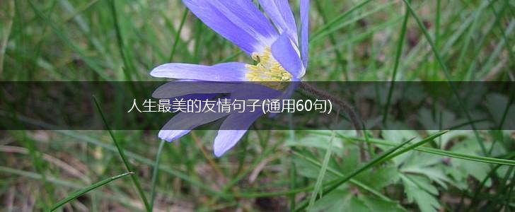 人生最美的友情句子(通用60句),第1张