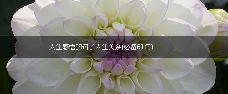 人生感悟的句子人生关系(必备61句),第1张