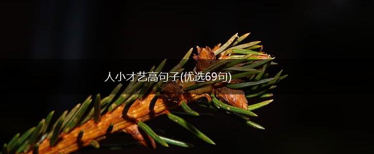 人小才艺高句子(优选69句),第1张