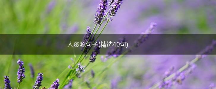 人资源句子(精选40句),第1张