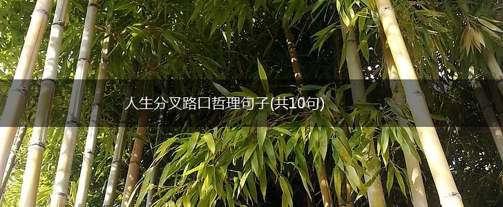 人生分叉路口哲理句子(共10句),第1张