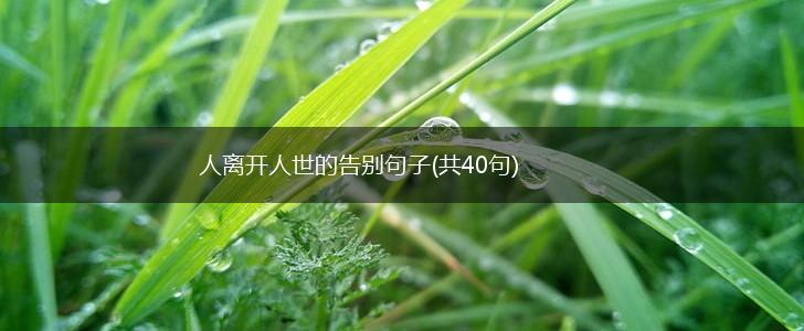 人离开人世的告别句子(共40句),第1张