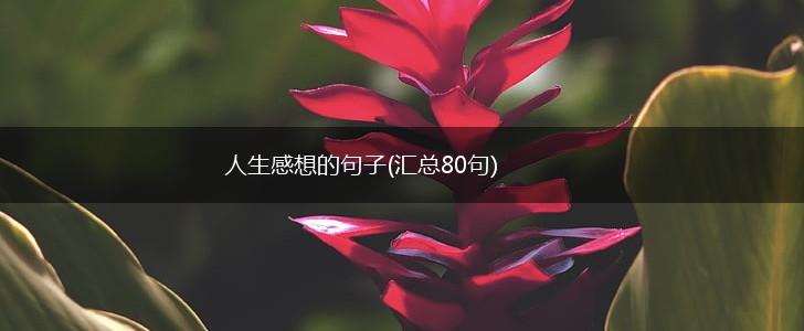 人生感想的句子(汇总80句),第1张