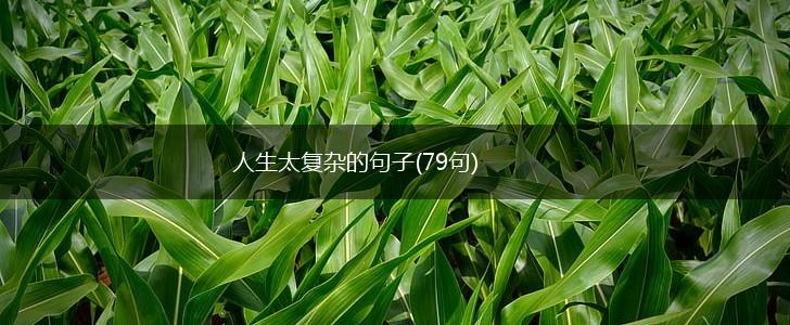 人生太复杂的句子(79句),第1张