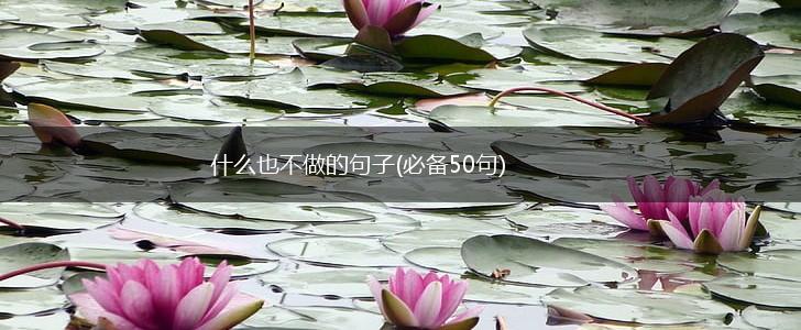 什么也不做的句子(必备50句),第1张