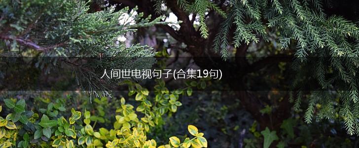 人间世电视句子(合集19句),第1张 人间世电视句子(合集19句),第1张