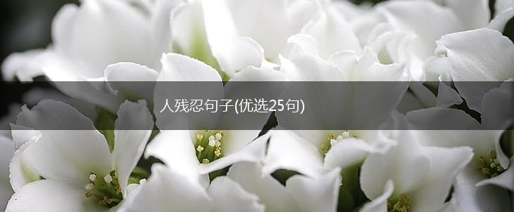 人残忍句子(优选25句),第1张
