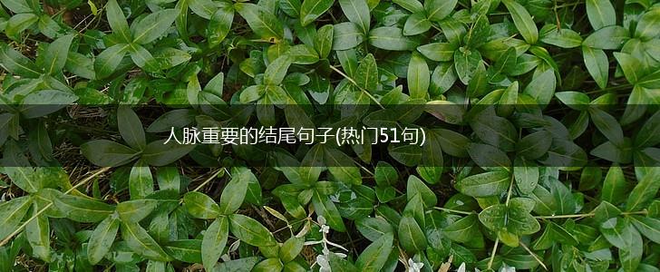 人脉重要的结尾句子(热门51句),第1张 人脉重要的结尾句子(热门51句),第1张