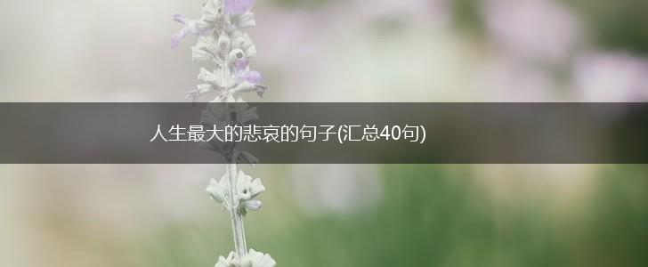 人生最大的悲哀的句子(汇总40句),第1张