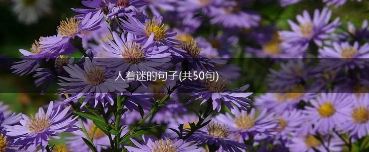 人着迷的句子(共50句),第1张
