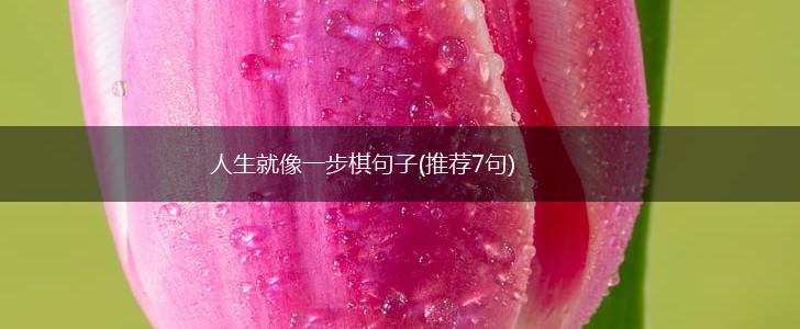 人生就像一步棋句子(推荐7句),第1张