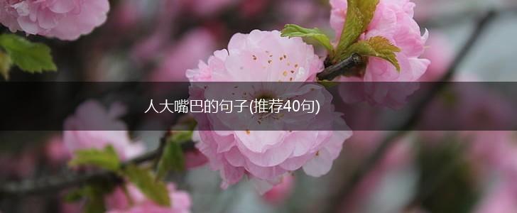 人大嘴巴的句子(推荐40句),第1张