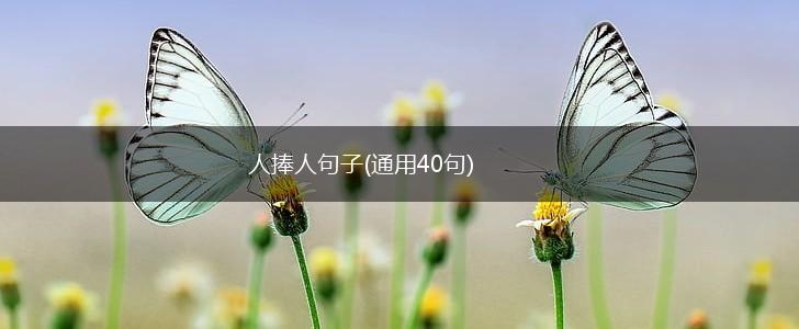 人捧人句子(通用40句),第1张