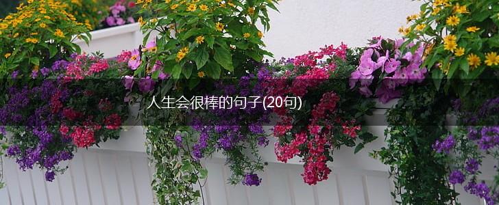 人生会很棒的句子(20句),第1张