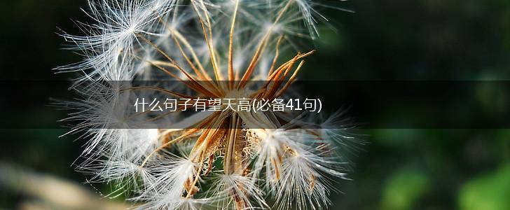 什么句子有望天高(必备41句),第1张